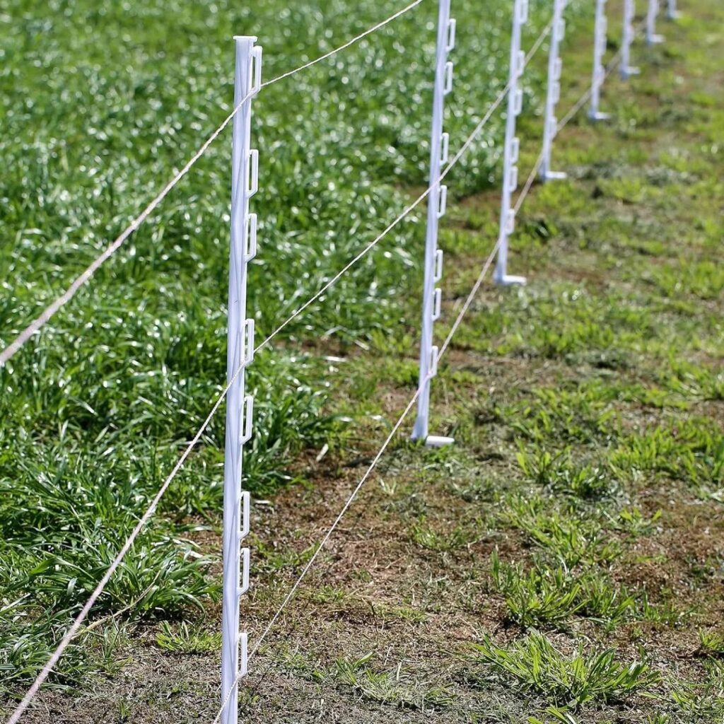POWER WIZARD Electric Fence Poly Posts - 50/Box Pink P-1P