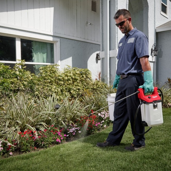 Worker walking along a landscaped garden bed while carrying a Milwaukee M12 handheld sprayer, applying liquid treatment to plants and shrubs beside a residential building.